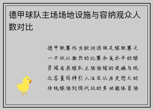 德甲球队主场场地设施与容纳观众人数对比