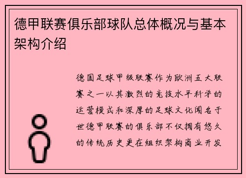德甲联赛俱乐部球队总体概况与基本架构介绍